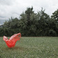 Untitled landscape 1
