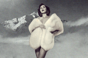 Joe Webb