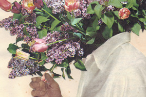 Joe Webb