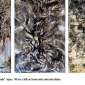 God and the Devil in no man's land (triptych)