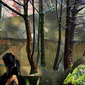 Walking In The Woods