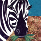 Pin-Striped Pony