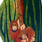 Hanging Orang