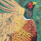 William the Pheasant - SOLD