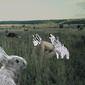 3. The Hunt. Wild family