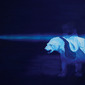 Against the Fall of Night 