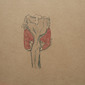 object 3(aorta)
