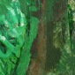 Lichenian