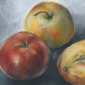 Apples