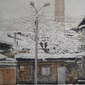 from the window