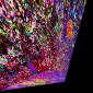 LEAVES FALLING THROUGH SPACE .3