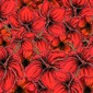 Flower Power 2- Print