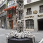 Raices