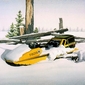 Skidoo