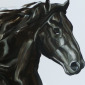 FREE FRISIAN