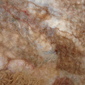Sack Ears, detail