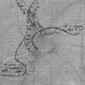 Maria Scarpini