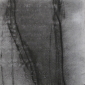 Maria Scarpini