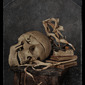 still life with skull