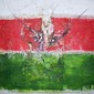 Welsh Dragon