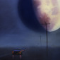 Big Moon Trip