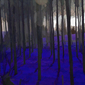 blue trees
