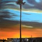 Scott Shellstrom
