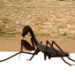 Metal Art Sculptures Vanorbeek