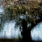 The Mirror