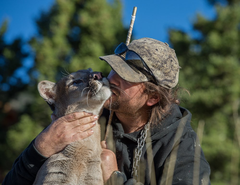 Predators of Montana Worldwide Safaritalk