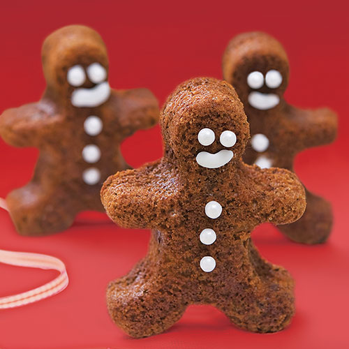 Gingerbread Fruitcake Men Sandra Lee