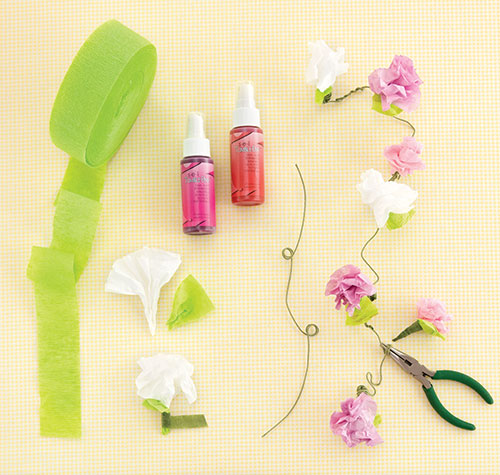 Sandra lee essay 07 picture