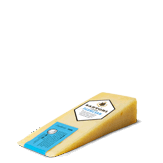 Parmesan