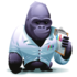 Steve-the-gorilla_medium