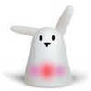 Bunny_large