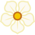 Flower_156_medium