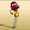 shryn