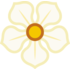 Flower_156_medium