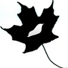 Sb_maple_leaf_large
