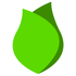 Logo-330_medium