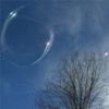 Bubble_large