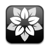 Icon_large