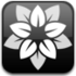 Icon_medium