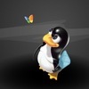 Tux_large