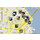 Brightkite