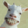 Avatar_large