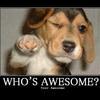 Whosawesome_large