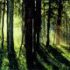 Glade80x80_large