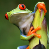 Istock_000004366735xsmall_large