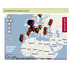 Google_widget_medium